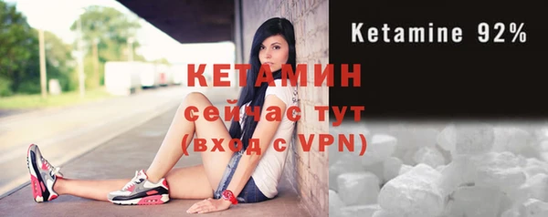крисы Каменка