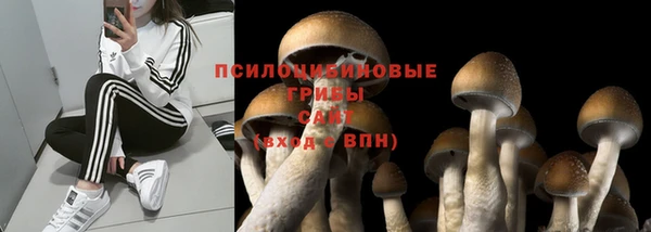 крисы Каменка