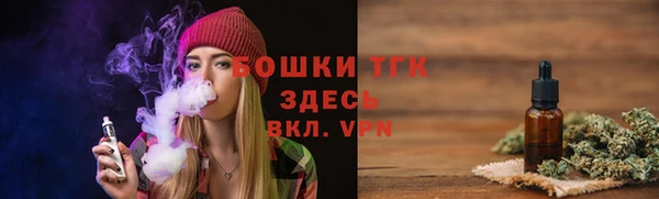 крисы Каменка