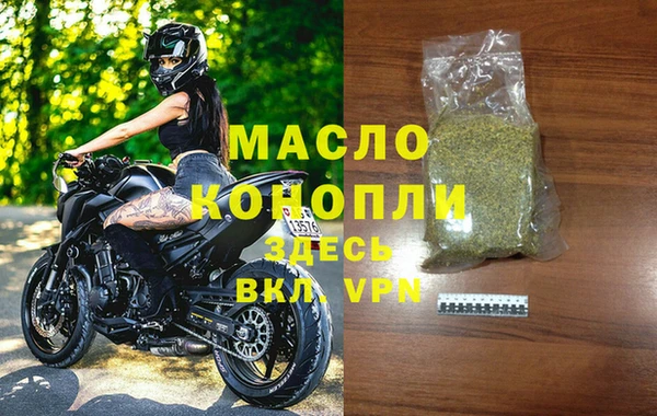 крисы Каменка