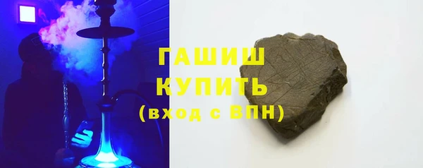 крисы Каменка