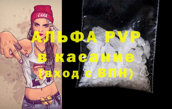 крисы Каменка