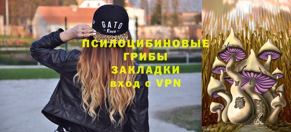 крисы Каменка