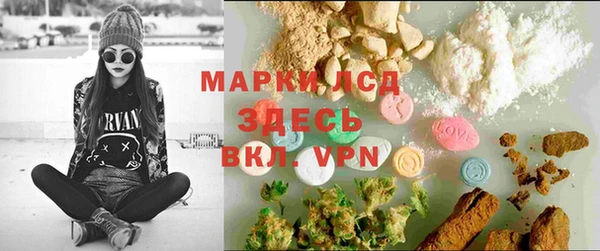 крисы Каменка