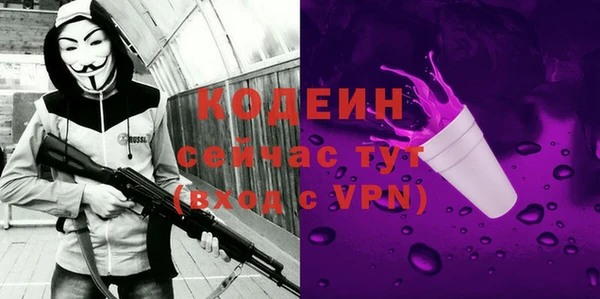 крисы Каменка