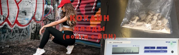 крисы Каменка